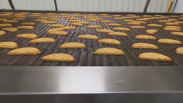 Conveyor with cookies.
