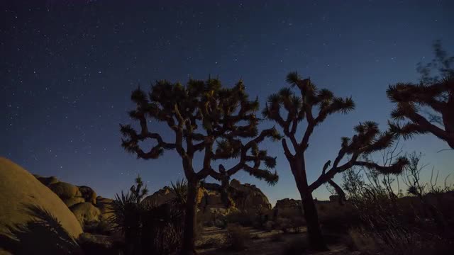 Joshua Tree Timelapse