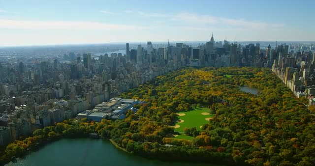 Scenes of New York City