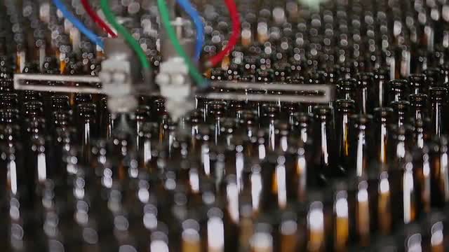 Rows of beer bottles in the factory.