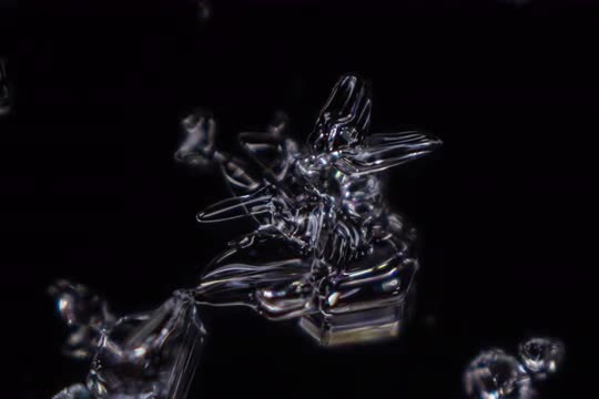 sublimating snow flake, focus stacking timelapse 42