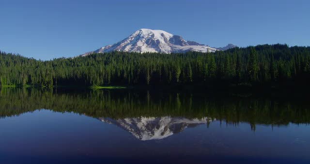 Mt. Rainier and Lake