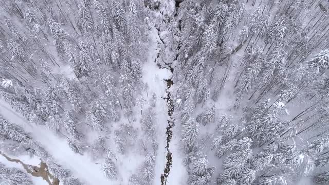 Small creek flowing into the Soca River in snowy landscape