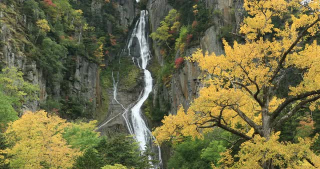 Autumn colors, Hokkaido, Japan Autumn colors, Hokkaido, Japan