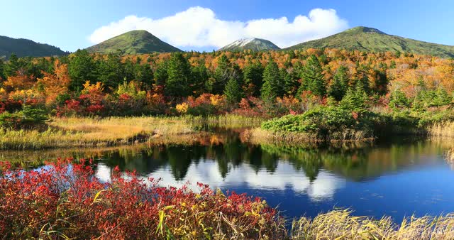Autumn colors, Aomori Prefecture, Japan
