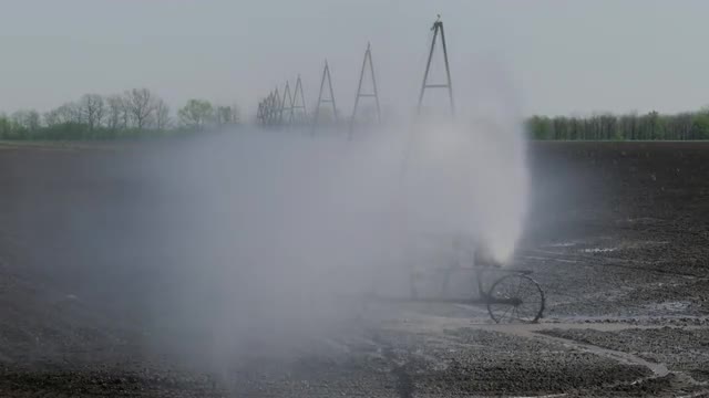 Irrigation Of The Field, Close Up