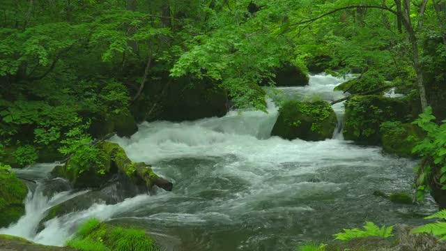 Oirase Mountain Stream, Aomori Prefecture, Japan