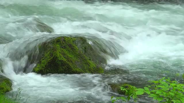 Oirase Mountain Stream, Aomori Prefecture, Japan