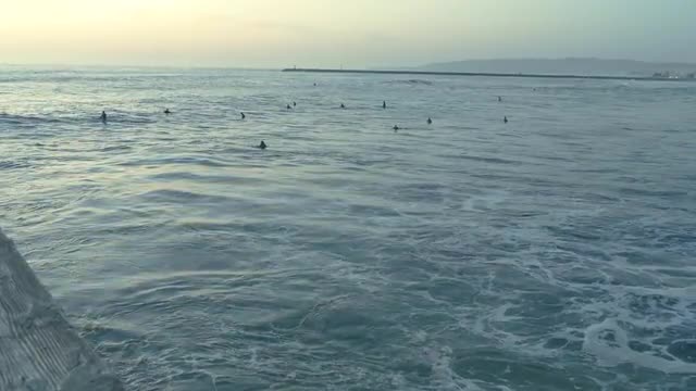 Surfers await a big wave in the ocean