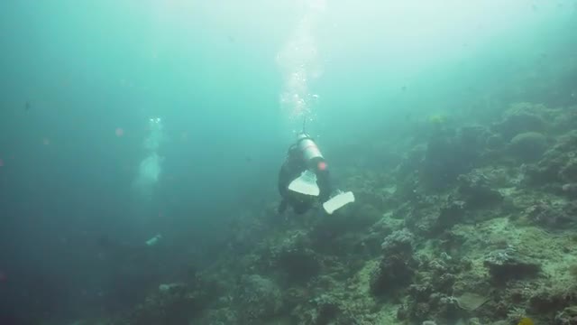 Scuba Divers underwater. Philippines, Mindoro.