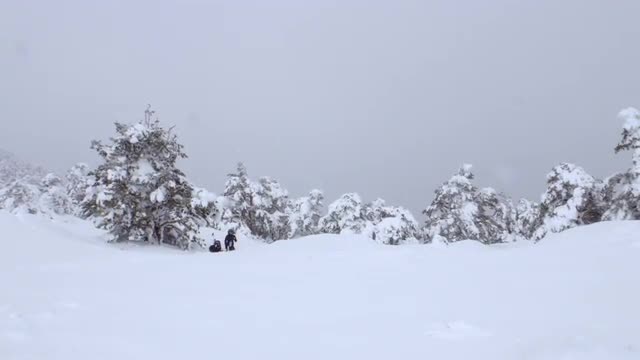 Woman makes a break in the snowy mountain under a frozen tree to take a hot tea