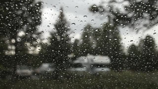 Rainy Window 3