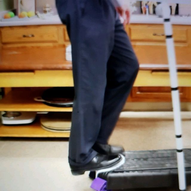 Static Moonwalk Eccentric Strengthening by 𝔻𝕖𝕤𝕖𝕣𝕥 𝔽𝕠𝕩🦊 🌟 - Exercise How ...