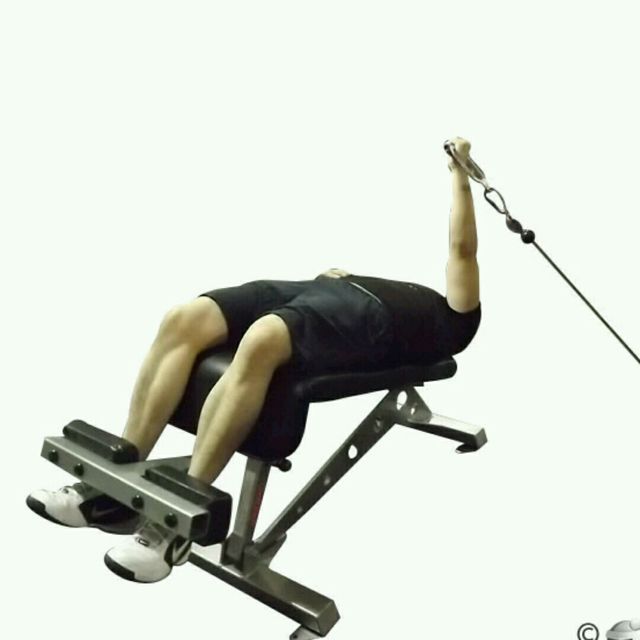 CM One Arm Decline Chest Fly Exercise Howto Skimble