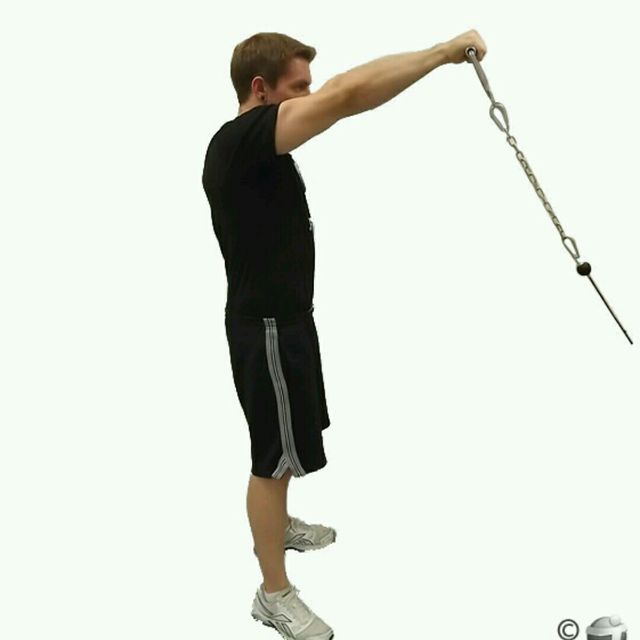 Inline row тренажер спины. Seated row machine. Incline dumbbell curl. Standing single arm cable rows. Single arm cable row.