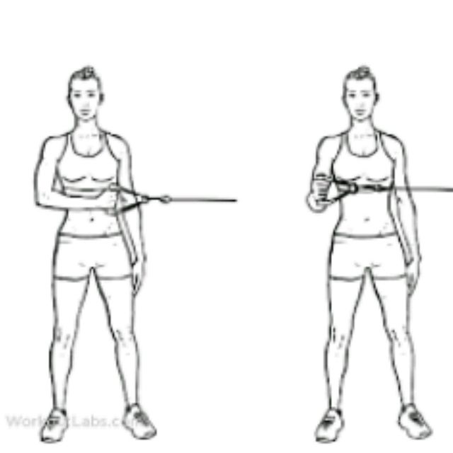 Shoulder External Rotations With Band by Aysel S. Exercise Howto