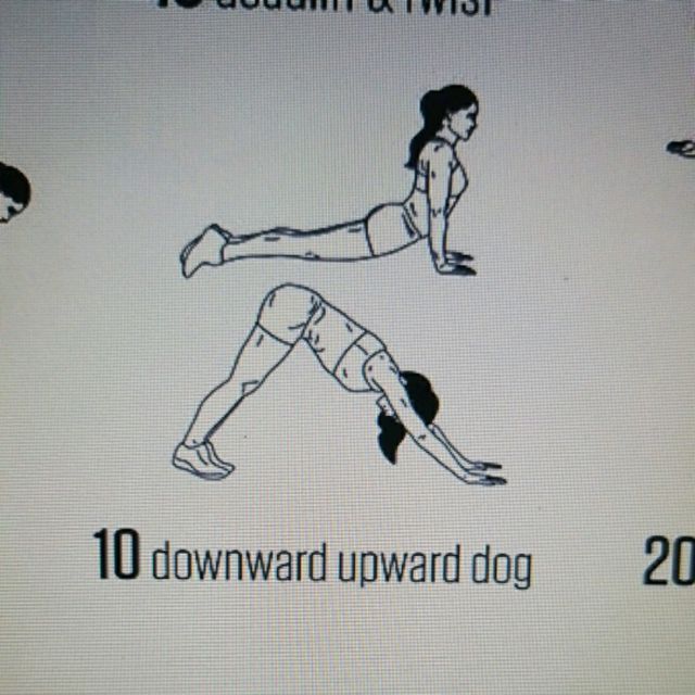 Downward Upward Dog by Toni V. Exercise Howto Skimble