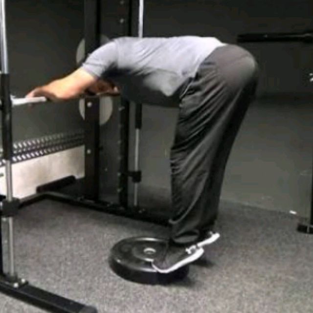 Donkey Calf Raises by Aysel S. Exercise Howto Skimble