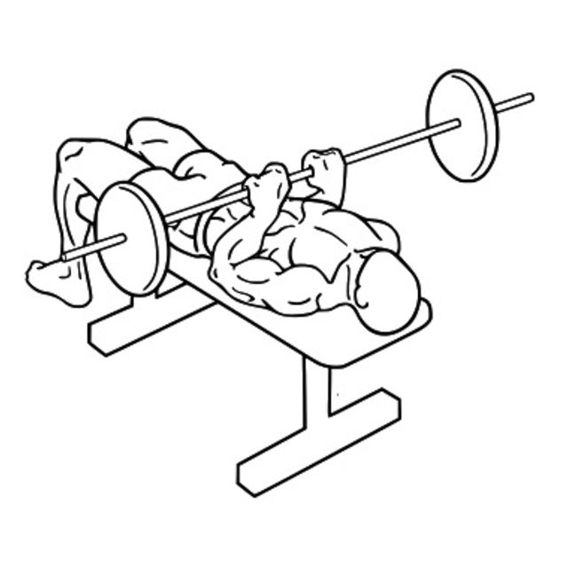 Close Grip Barbell Bench Press by Daniel Arixi - Exercise How-to - Skimble