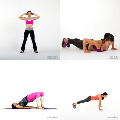 beginner