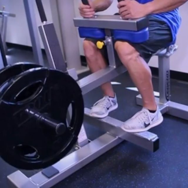 Seated Calf Raises [Toes In] - Exercise How-to - Workout Trainer by Skimble