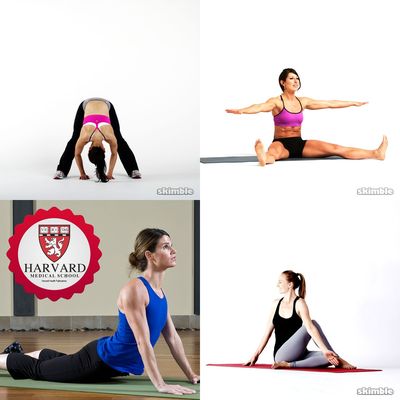 Stretch/yoga
