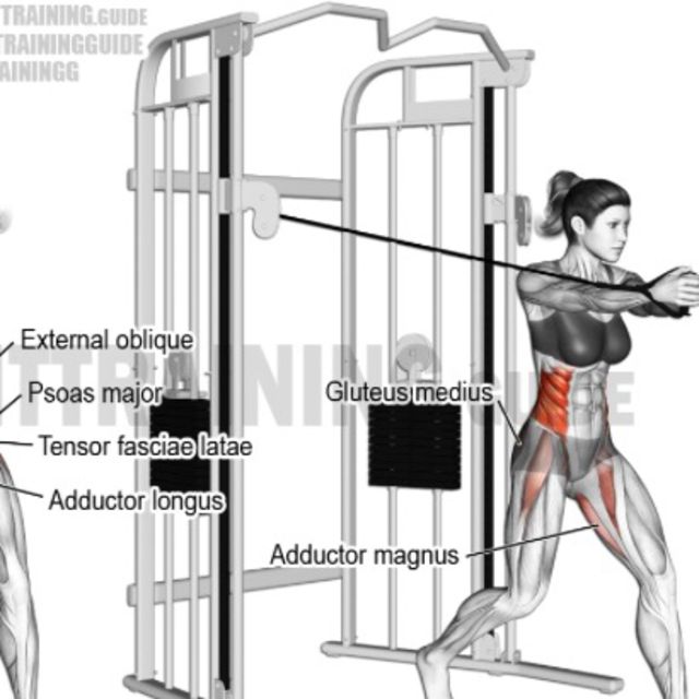 Cable Twist by Christy R. Exercise Howto Skimble