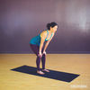 basic core