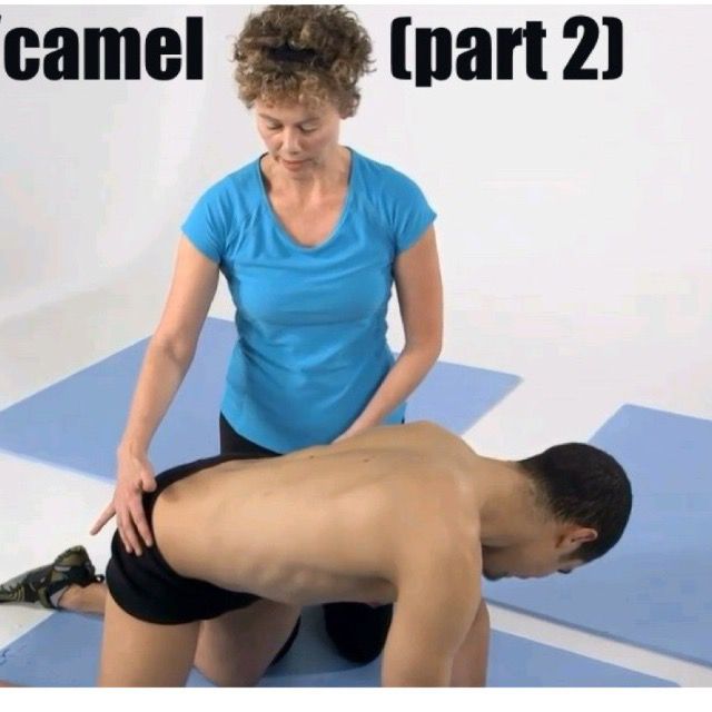 Camel Gym Routine Cat Camel 2 by Sammy K. - Exercise How-to - Skimble