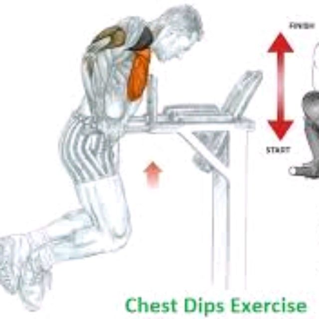 Chest Dips Exercise Howto Workout Trainer by Skimble