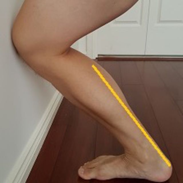 Soleus by Valerie M. Exercise Howto Skimble Workout Trainer