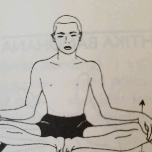 Butterfly, Gently Press Knees Up Down by 𝔻𝕖𝕤𝕖𝕣𝕥 𝔽𝕠𝕩🦊 🌟 Exercise How