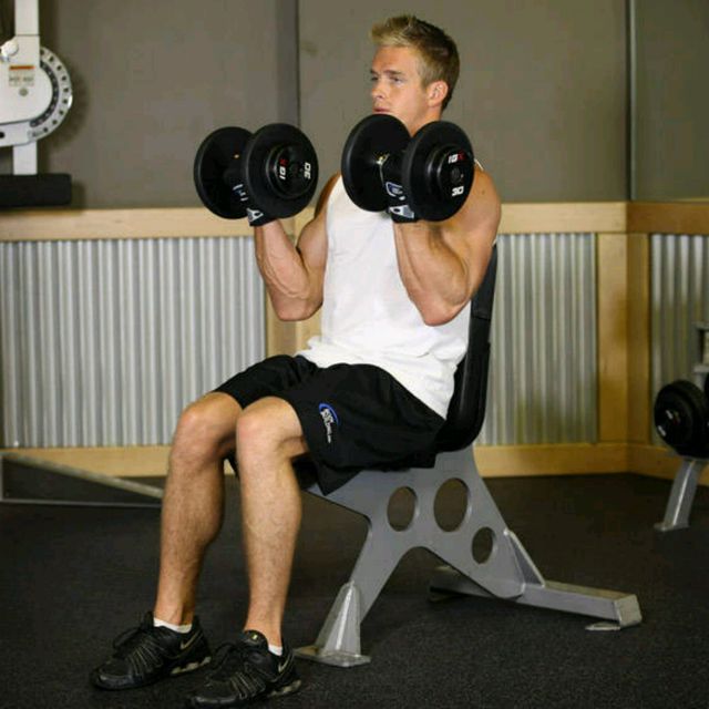 Seated Dumbbell Curl by Silas Eisenback Exercise Howto Skimble
