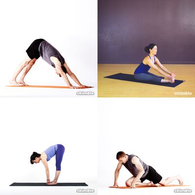 flexibility