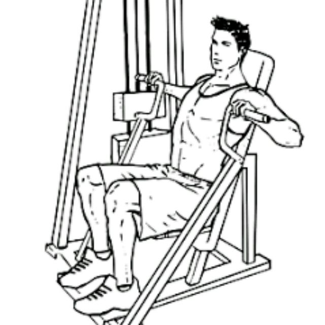 Machine Chest Press by Shalin K. Exercise Howto Skimble