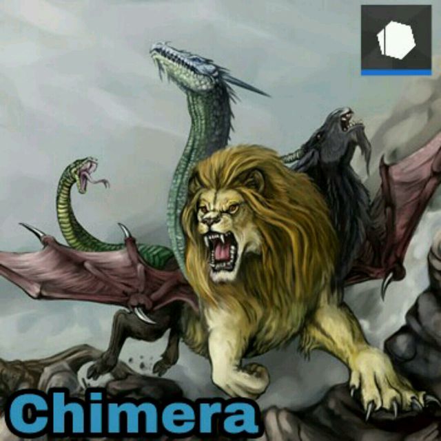 Chimera⚡LDR Member Workout by Luca⚡ ⚡. Workout Trainer by Skimble