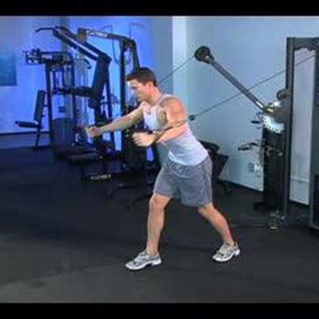 Standing Cable Chest Flys by Noel Fernandes Exercise Howto Skimble