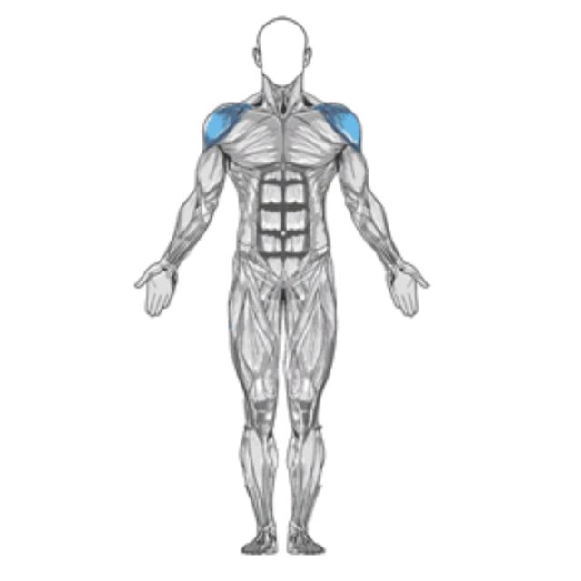 Standing Military Press Exercise Howto Workout Trainer by Skimble