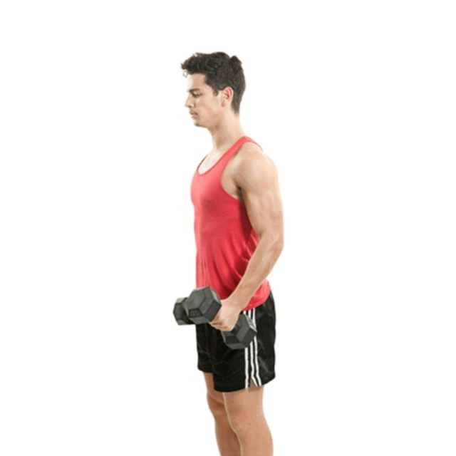 Biceps Hammer Curls Exercise Howto Skimble