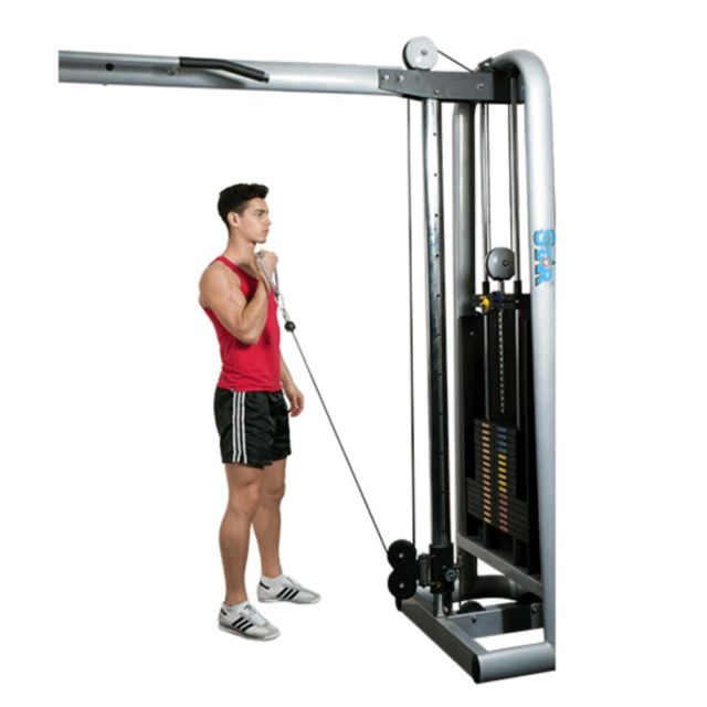 Biceps Low Pulley Curls by Saranyapong T. Exercise Howto Skimble