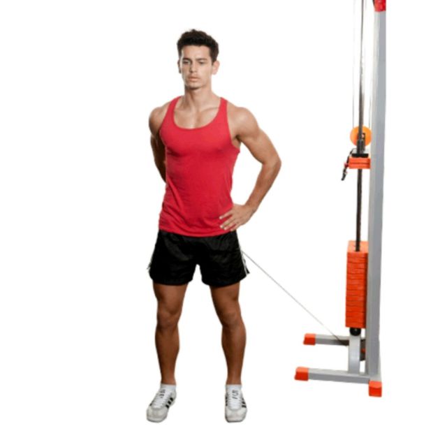 Shoulders LowPulley Lateral Raises Exercise Howto