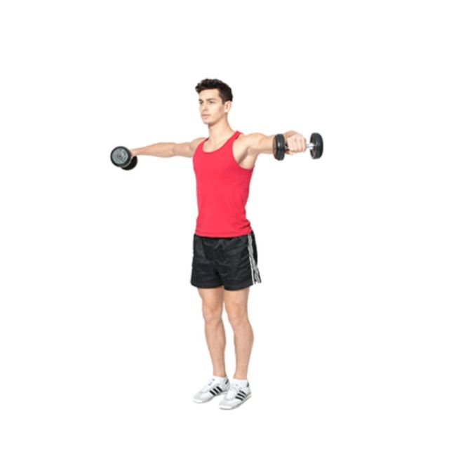 Shoulders Lateral Raises by Saranyapong T. Exercise Howto Skimble