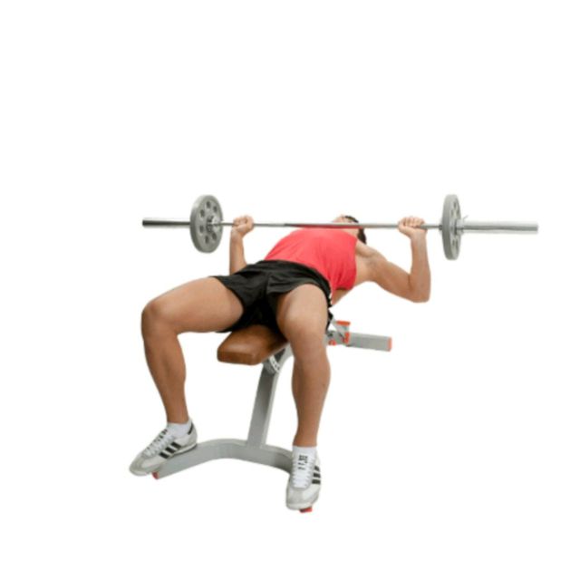 Chest Barbell Bench Presses by Saranyapong T. Exercise Howto Skimble