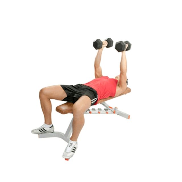 Chest Dumbbell Flys by Saranyapong T. Exercise Howto Skimble