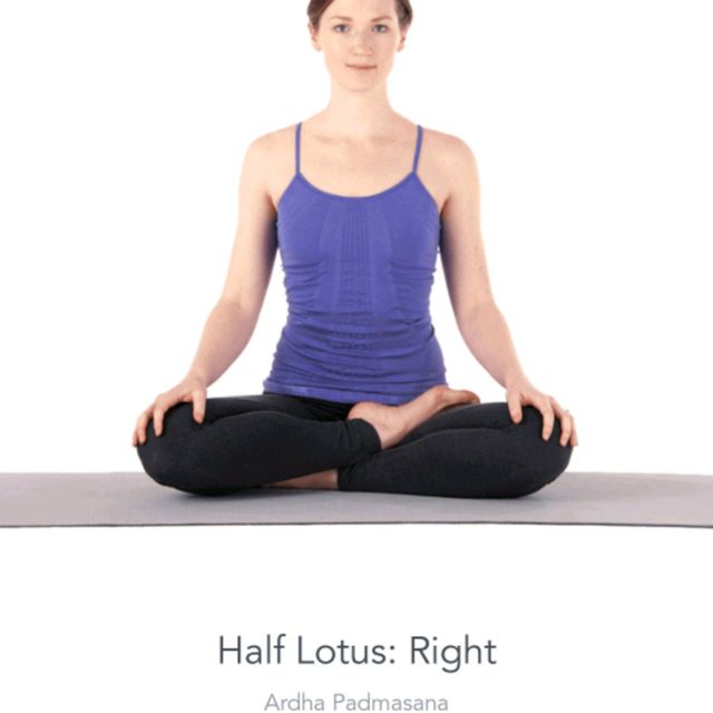 Half Lotus right by 𝔻𝕖𝕤𝕖𝕣𝕥 𝔽𝕠𝕩🦊 🌟 Exercise Howto Skimble