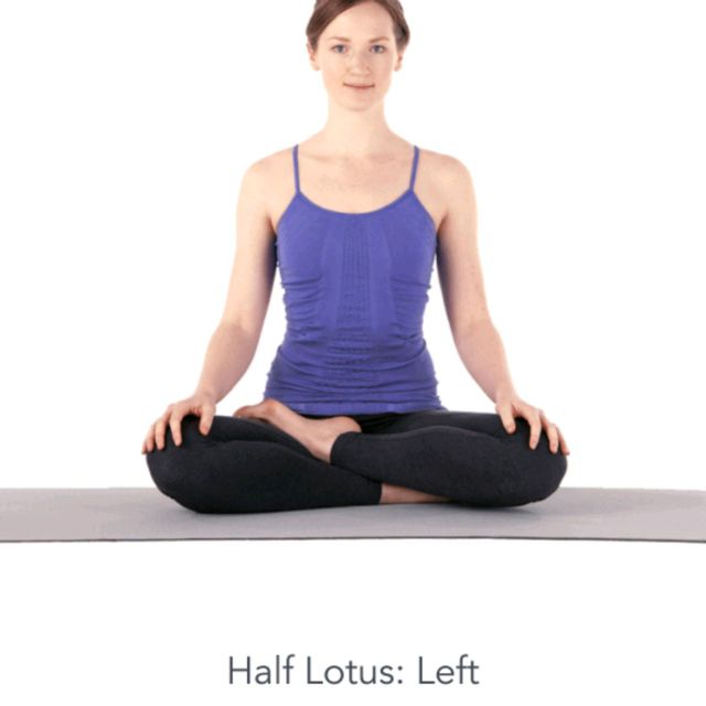 Half Lotus Left by 𝔻𝕖𝕤𝕖𝕣𝕥 𝔽𝕠𝕩🦊 🌟 Exercise Howto Skimble