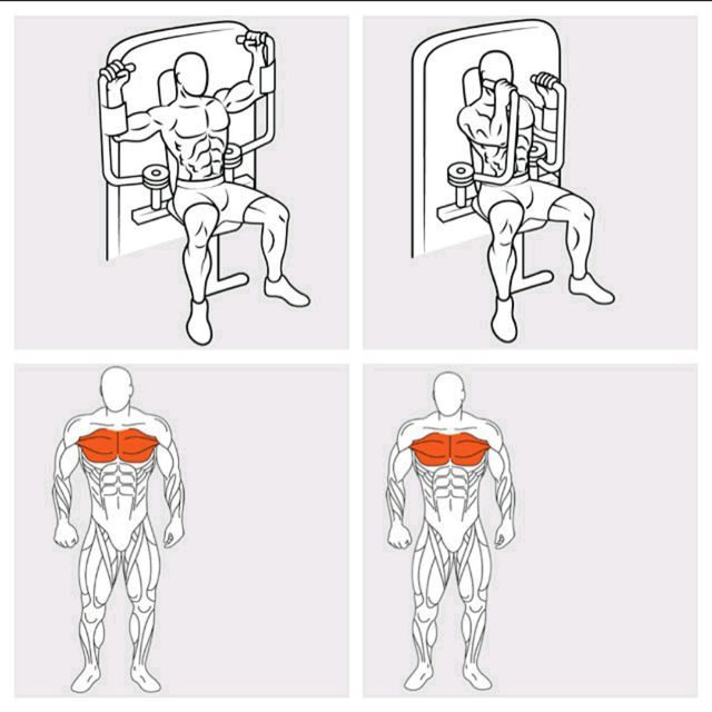 Chest Butterfly Exercise Howto Workout Trainer by Skimble