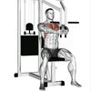 Friday Upper And Cardio