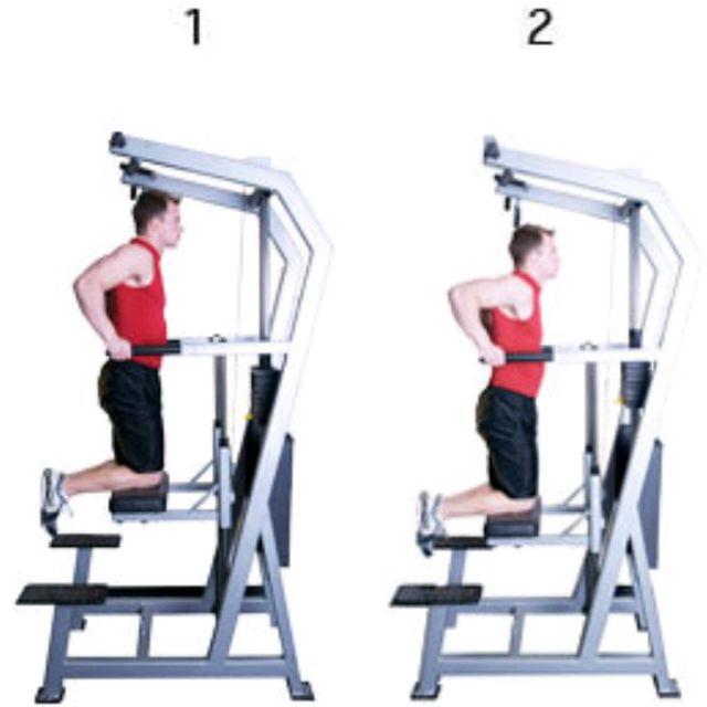 Tricep Dip bar by Kelly R. Exercise Howto Skimble