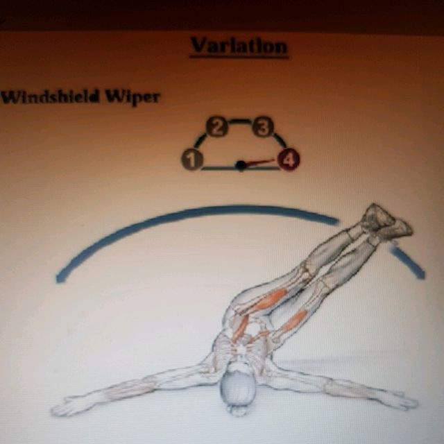 Windshield Wiper by Stanislav O. Exercise Howto Skimble